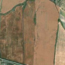 Satellite imagery of survey_point, DZ