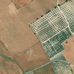 Satellite imagery of survey_point, DZ