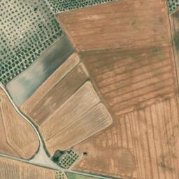 Satellite imagery of survey_point, DZ