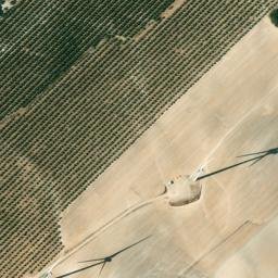 Satellite imagery of survey_point, DZ