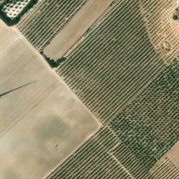 Satellite imagery of survey_point, DZ
