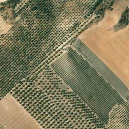 Satellite imagery of survey_point, DZ