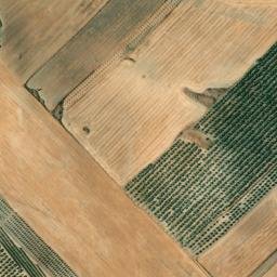 Satellite imagery of survey_point, DZ