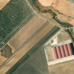 Satellite imagery of survey_point, DZ