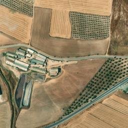 Satellite imagery of survey_point, DZ