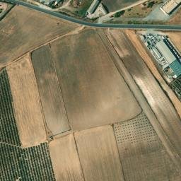 Satellite imagery of survey_point, DZ