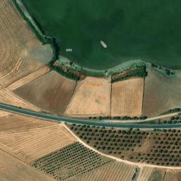 Satellite imagery of survey_point, DZ