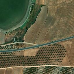 Satellite imagery of survey_point, DZ