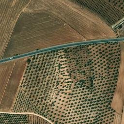 Satellite imagery of survey_point, DZ