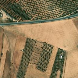 Satellite imagery of survey_point, DZ