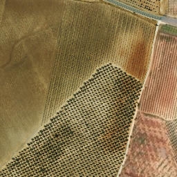 Satellite imagery of survey_point, DZ