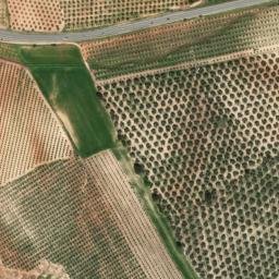 Satellite imagery of survey_point, DZ