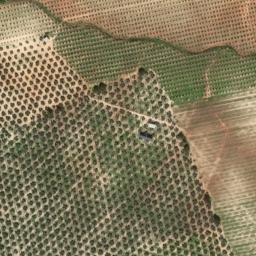 Satellite imagery of survey_point, DZ