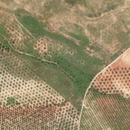 Satellite imagery of survey_point, DZ