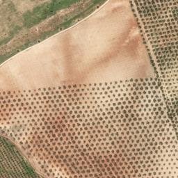 Satellite imagery of survey_point, DZ