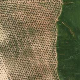 Satellite imagery of survey_point, DZ