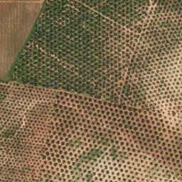 Satellite imagery of survey_point, DZ