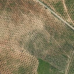Satellite imagery of survey_point, DZ
