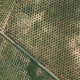 Satellite imagery of survey_point, DZ