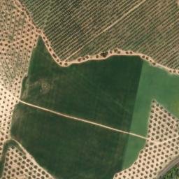 Satellite imagery of survey_point, DZ