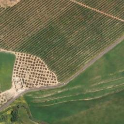 Satellite imagery of survey_point, DZ