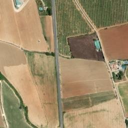 Satellite imagery of survey_point, DZ