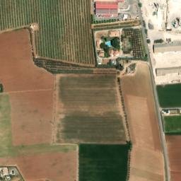 Satellite imagery of survey_point, DZ