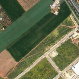 Satellite imagery of survey_point, DZ
