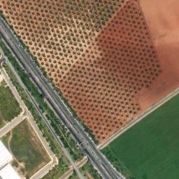 Satellite imagery of survey_point, DZ