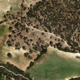 Satellite imagery of survey_point, DZ