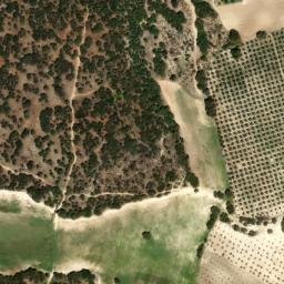 Satellite imagery of survey_point, DZ