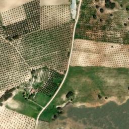 Satellite imagery of survey_point, DZ