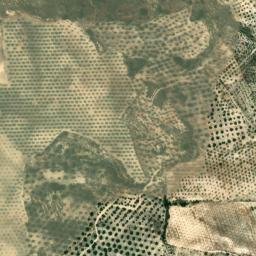Satellite imagery of survey_point, DZ