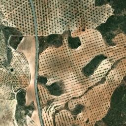 Satellite imagery of survey_point, DZ