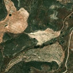 Satellite imagery of survey_point, DZ