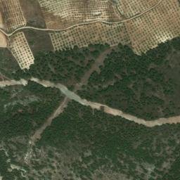 Satellite imagery of survey_point, DZ