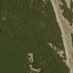 Satellite imagery of survey_point, DZ