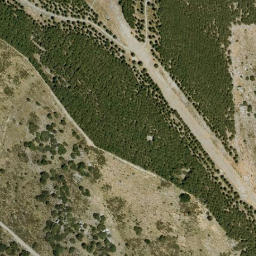 Satellite imagery of survey_point, DZ