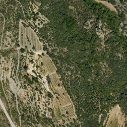 Satellite imagery of survey_point, DZ