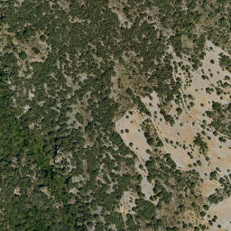 Satellite imagery of survey_point, DZ