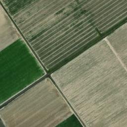 Satellite imagery of survey_point, DZ