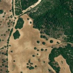 Satellite imagery of survey_point, DZ