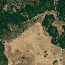 Satellite imagery of survey_point, DZ