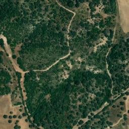 Satellite imagery of survey_point, DZ