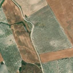 Satellite imagery of survey_point, DZ