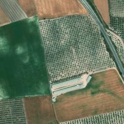 Satellite imagery of survey_point, DZ