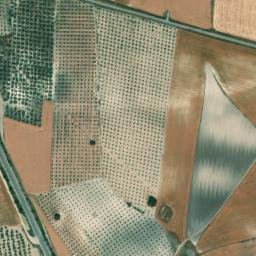 Satellite imagery of survey_point, DZ