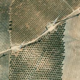 Satellite imagery of survey_point, DZ