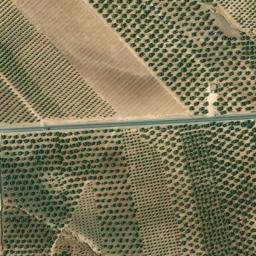 Satellite imagery of survey_point, DZ