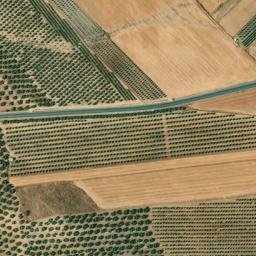 Satellite imagery of survey_point, DZ